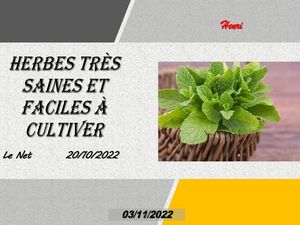 hr554_herbes_tres_saines_et_faciles_a_cultiver_riquet77570