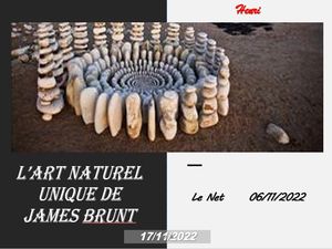 hr569_l_art_naturel_unique_de_james_brunt_riquet77570