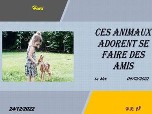 hr602_ces_animaux_adorent_se_faire_des_amis