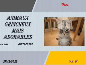 hr605_animaux_grincheux_mais_adorables_riquet77570