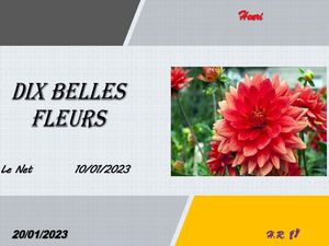 hr628_dix_belles_fleurs_riquet77570