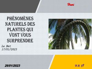 hr635_phenomenes_naturels_des_plantes_qui_vont_vous_surprendre_riquet77570