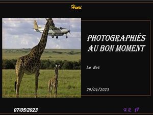 hr723_photographies_au_bon_moment_riquet77570