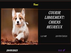 hr744_courir_librement_riquet77570