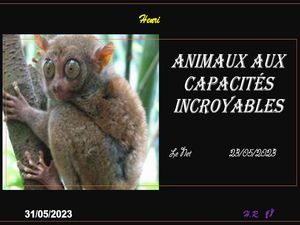 hr747_animaux_aux_capacites_incroyables_riquet77570