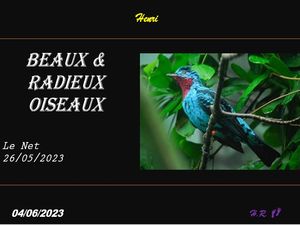 hr751_beaux_et_radieux_oiseaux
