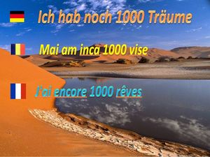 ich_hab_noch_1000_treume_mai_am_inca_1000_vise