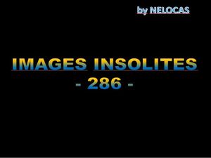 images_insolites_286_nelocas