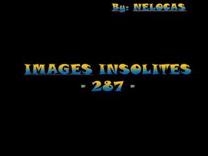 images_insolites_287_nelocas
