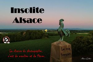 insolite_alsace__roland