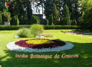 jardin_botanique_de_craiova_stellinna