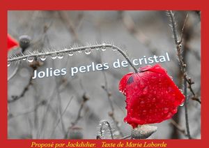 jolies_perles_de_cristal__jackdidier