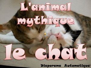 l_animal_mythique_le_chat_roland