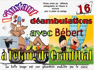 l_instant_avec_bebert_a_l_etang_de_graufthal__roland
