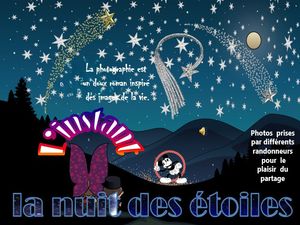 l_instant_de_la_nuit_des_etoiles___roland