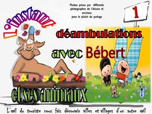 l_instant_deambulations_avec_bebert_et_ses_animaux_1__roland