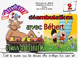 l_instant_deambulations_avec_bebert_et_ses_animaux_2__roland