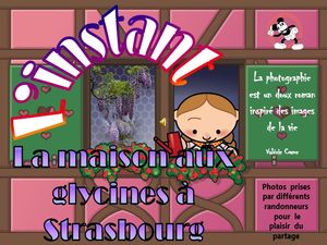 l_instant_la_maison_aux_glycines_a_strasbourg__roland