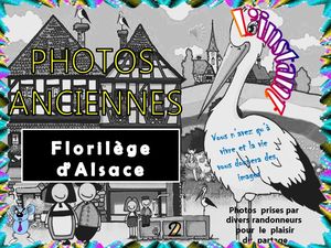 l_instant_photos_anciennes_florilege_d_Alsace__roland