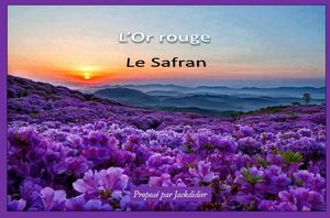 l_or_rouge_le_safran__jackdidier