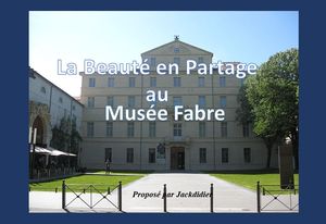 la_beaute_en_partage_au_musee_fabre__jackdidier