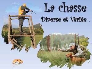 la_chasse_diverse_et_variee__p_sangarde