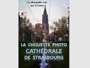 la_chouette_photo_cathedrale_de_strasbourg_1__roland