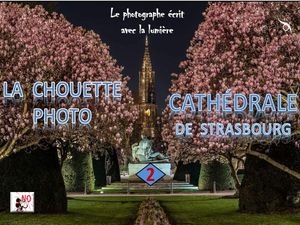 la_chouette_photo_cathedrale_de_strasbourg_2__roland