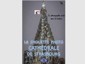 la_chouette_photo_cathedrale_de_strasbourg_3__roland