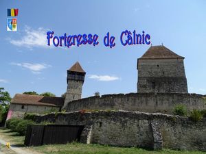 la_forteresse_de_calnic__stellinna