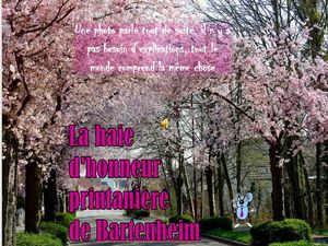 la_haie_d_honneur_printaniere_de_bartenheim_roland