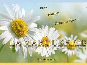la_marguerite__gilianne