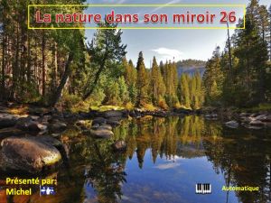 la_nature_dans_son_miroir_26_michel
