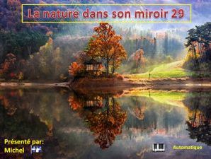 la_nature_dans_son_miroir_29__michel