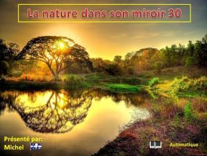 la_nature_dans_son_miroir_30__michel