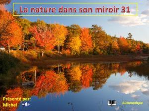 la_nature_dans_son_miroir_31__michel