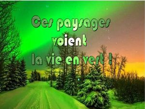 la_vie_en_vert_phil_v