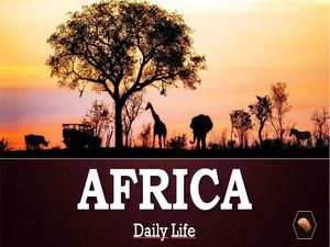 la_vie_quotidienne_en_afrique_lalo_steve