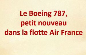 le_boeing_787_peti_nouveau_dans_la_flotte_air_france_mauricette3