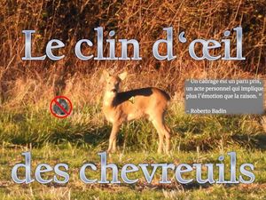 le_clin_d_oeil_des_chevreuils__roland