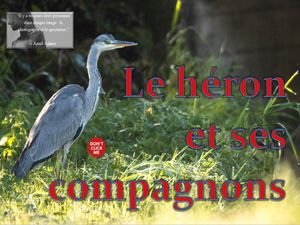 le_heron_et_ses_compagnons__roland