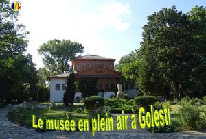 le_musee_en_plein_air_a_golesti_stellinna