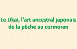 le_ukai_l_art_ancestral_japonais_de_la_peche_au_cormoran_mauricette3
