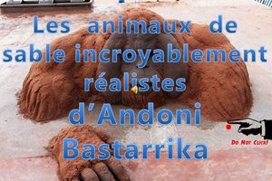 les_animaux_de_sable_d_andoni_bastarrika__roland