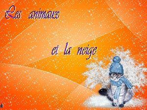 les_animaux_et_la_neige__dede_51