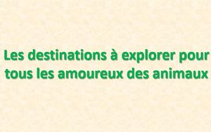 les_destinations_a_explorer_pour_les_amoureux_des_animaux_mauricette3