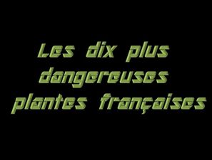 les_dix_plus_dangereuses_plantes_francaises