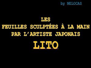 les_feuilles_sculptees_a_la_main_par_l_artiste_japonais_lito_nelocas