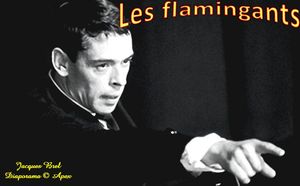 les_flamingants_apex
