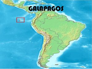 les_galapagos